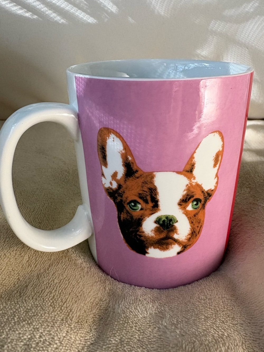 Dog Mug 16oz ceramic w/3 dog images-Boston Terrier, Labrador, chihuahua.